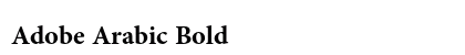 Adobe Arabic Bold Preview