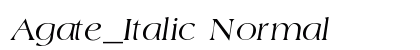 Agate_Italic Normal preview