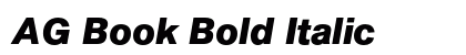 AG Book Bold Italic Preview