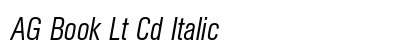 AG Book Lt Cd Italic preview