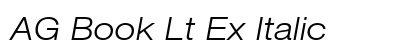 AG Book Lt Ex Italic preview