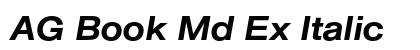 AG Book Md Ex Italic preview