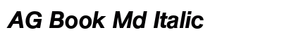 AG Book Md Italic preview
