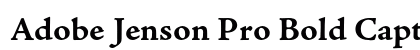 Adobe Jenson Pro Bold Caption Preview