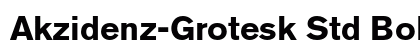 Akzidenz-Grotesk Std Bold Preview