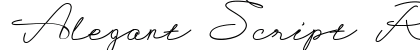 Alegant Script Regular preview