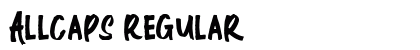 Allcaps Regular preview
