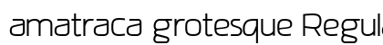 amatraca grotesque Regular preview