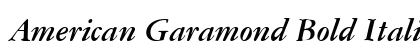 American Garamond Bold Italic Preview