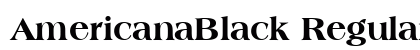AmericanaBlack Regular preview