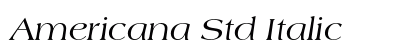 Americana Std Italic preview