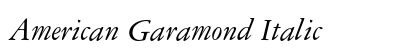 American Garamond Italic Preview