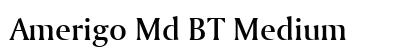 Amerigo Md BT Medium preview