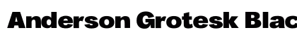 Anderson Grotesk Black Regular preview