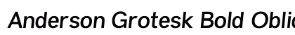 Anderson Grotesk Bold Oblique Regular preview