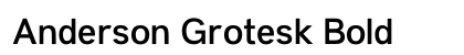 Anderson Grotesk Bold preview