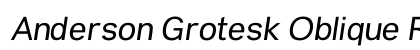 Anderson Grotesk Oblique Regular preview