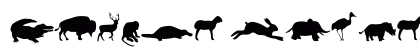 Animal Regular preview