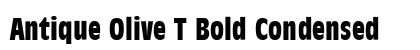 Antique Olive T Bold Condensed Preview