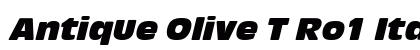 Antique Olive T Ro1 Italic preview
