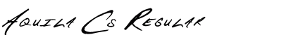 Aquila Cs Regular preview