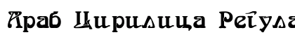 Arab Cirilica Regular preview