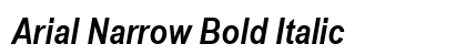Arial Narrow Bold Italic Preview