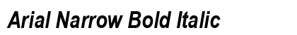 Arial Narrow Bold Italic Preview