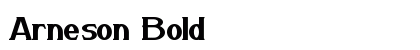 Arneson Bold preview