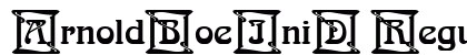 ArnoldBoeIniD Regular preview