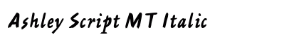 Ashley Script MT Italic preview