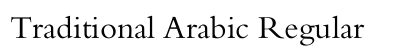 Traditional Arabic Regular preview