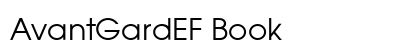 AvantGardEF Book Preview