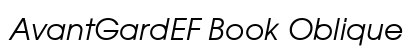 AvantGardEF Book Oblique Preview