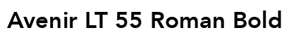 Avenir LT 55 Roman Bold preview