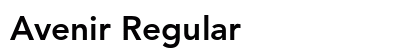 Avenir Regular Font