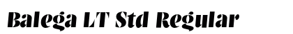 Balega LT Std Regular preview
