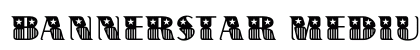 BannerStar Medium preview