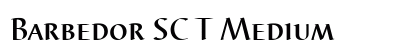 Barbedor SC T Medium preview