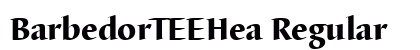 BarbedorTEEHea Regular Preview