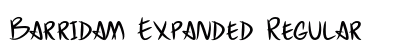 Barridam Expanded Regular preview