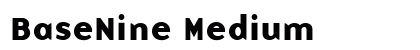 BaseNine Medium preview