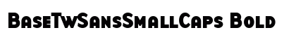 BaseTwSansSmallCaps Bold preview
