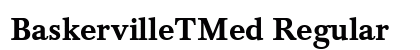 BaskervilleTMed Regular preview