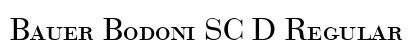 Bauer Bodoni SC D Regular preview