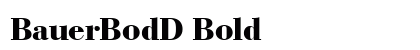 BauerBodD Bold preview