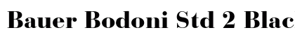 Bauer Bodoni Std 2 Black preview