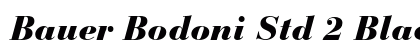 Bauer Bodoni Std 2 Black Italic preview
