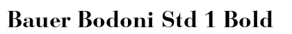 Bauer Bodoni Std 1 Bold preview