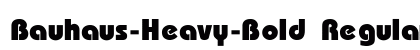 Bauhaus-Heavy-Bold Regular preview